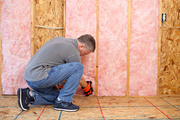 Best Insulation Maintenance and Repair in Ventress, LA